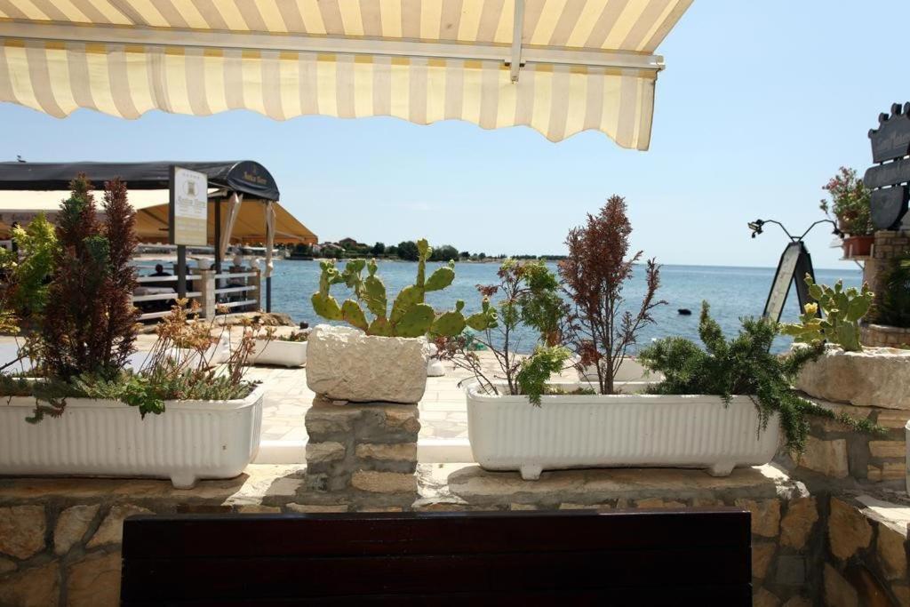 Sea View Apartment Umag 2 Exteriör bild
